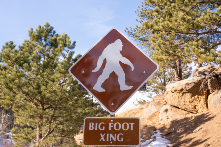 Big,Foot,Crossing,Sign,In,The,Wilderness,Of,Colorado